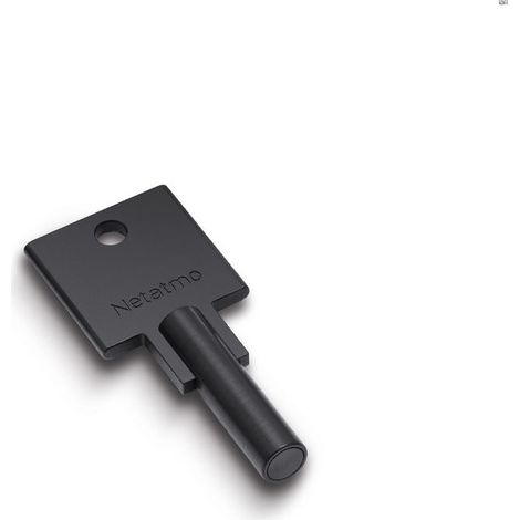 Netatmo Chiave aggiuntiva argentata per serrature intelligenti (1/2)