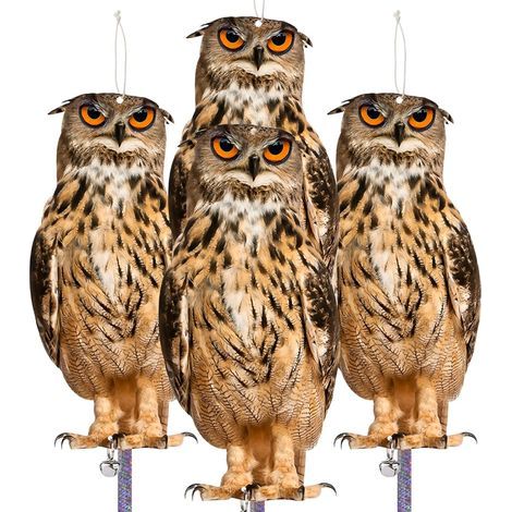 Lot de 4 Les faux hiboux éloignent les oiseaux Dispositif effrayant pour effraient les pigeons Pics Éloigner Verger Cour (1/5)
