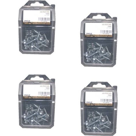 4 Coques de 25 Vis Penture Torx 6 x 40 mm - Zingué blanc - D-Work
