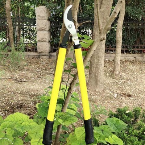 Ciseaux de Jardinage de Haute Qualité pour Taille-Haie et Élagage - Outil de Pruning Professionnel-KZQ