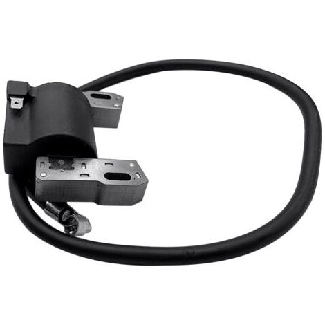 Kits de bougies d'allumage pour moteurs Briggs & Stratton de 7 à 16 ch : 398811, 395492, 398265 (1/5)