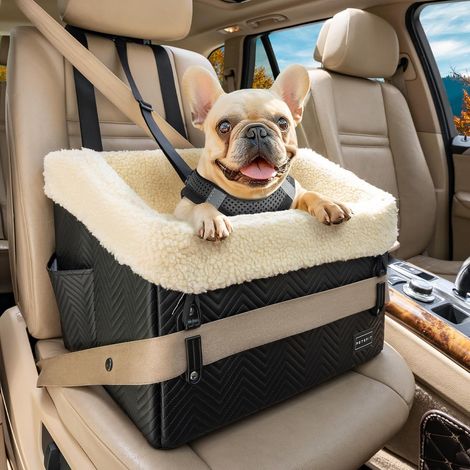Elevated Car Seat 12.5 cm – Safe Cat / Dog Transport Basket with Washable Cover and Buckles (≤12kg, Rear/Passenger) (1/5)