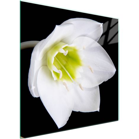 PLACA PROTECTORA DE VIDRIO PARA ESTUFA 50x52 ORQUÍDEA (1/5)