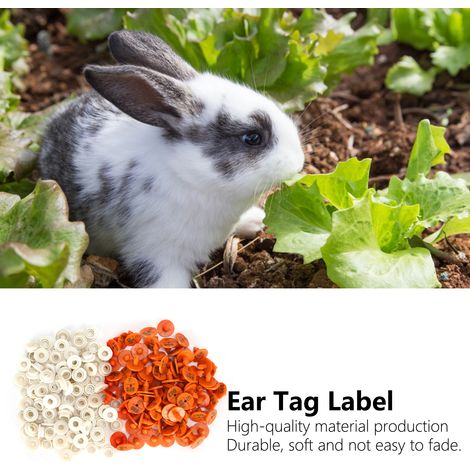 Etiquetas numeradas para orejas de animales pequeños – 100 unidades, plástico resistente, 1,75 cm – identificación para animales de granja, conejos, zorros y visones. (1/5)