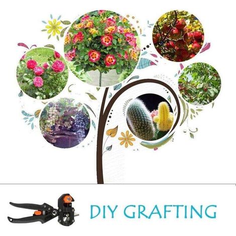 Pince à Greffer Professionnelle d’Arbres Fruitiers, Sécateur Ciseaux de Jardinage pour Greffage de Plantes avec 1 Rouleau de Ruban et 3 Lames de Coupe de Forme V/U/Ω (1/3)