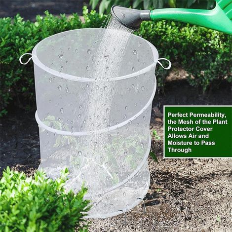 Cloche de protection pop‑up pour plantes, filet anti‑insectes anti‑oiseaux pour légumes et fleurs du jardin, Composition : 1 pièce + 4 piquets en forme de L, Couleur : blanc (1/5)