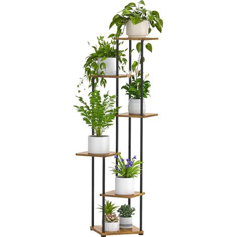 Support Plantes Intérieur à 6 Niveaux, Étagère Plante En Métal (1/5)