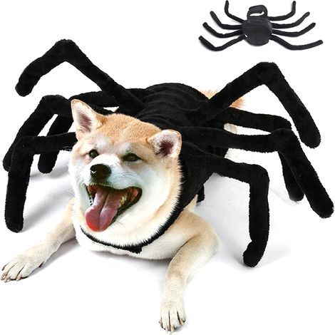 Costume da ragno, zampe realistiche, materiale morbido, taglia piccola/media, per cani/gatti per Halloween (1/5)