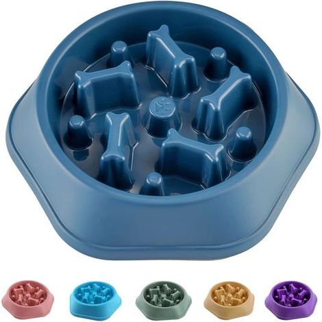 Gamelle anti-glouton, adaptée aux chiens de petite et moyenne taille. (1/5)