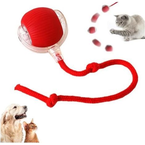 Rolling Ball, Jouet interactif pour Chat, Boule électrique Automatique Rechargeable, Balle Interactive pour Chien lumière (1/5)