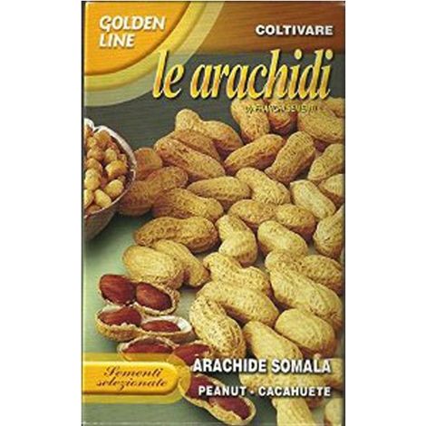 SCATOLA DA 50GR CON SEMI DI ARACHIDE SOMALA