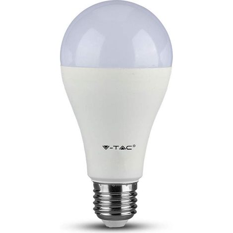 VT-2015 15W A65 Ampoule LED (1/5)