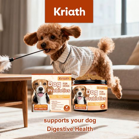 Granulés probiotiques pour chiens, faciles à administrer, qui contribuent à la santé intestinale de votre chien et assurent une bonne absorption des nutriments à tous les âges – 200 g (1/5)