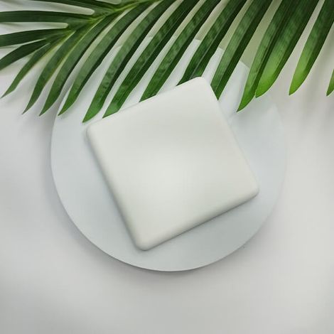 Portasapone in terra diatomacea, liscio, rettangolare, bianco giallo (1/5)