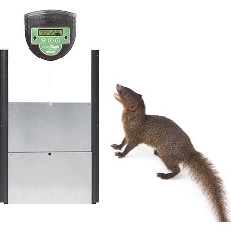 Kit puerta automática para gallinero + motor - Puerta Chicksafe de Brinsea- Motor ECO