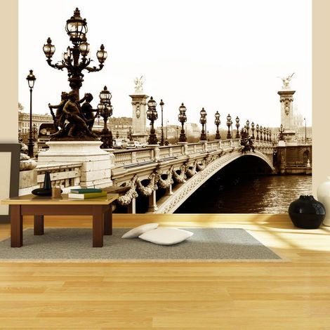 Papier peint pont alexandre ii, paris - 250 x 193 cm (1/4)