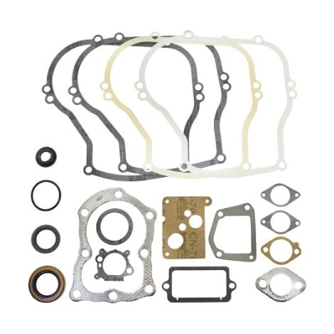 Serie segmenti kit guarnizioni BRIGGS STRATTON 320025 297616 motori vecchi 5HP