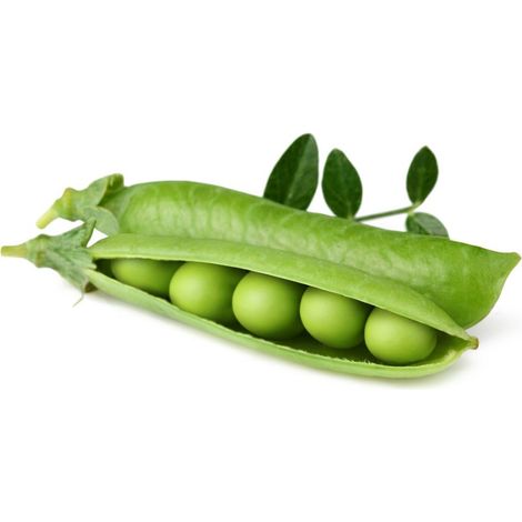 Click and Grow - Smart Garden Refill 3-pack Dwarf Pea