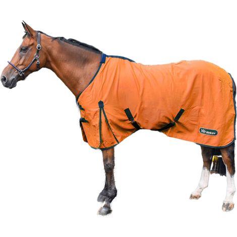 Chemise d'équitation multifonctionnelle Whitaker Allerton à col standard en coton orange