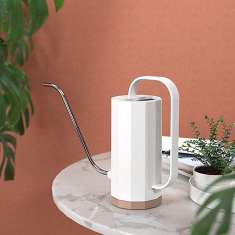 Plastique Arrosoir longue bouche Jardin arrosoir en acier inoxydable fleurs Arrosoir Pour Plantes Succulentes Graines et fines herbes -Blanc (1/5)