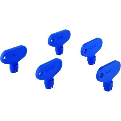 GROHE Schlüssel 48234, für Grohtherm Micro, zur Durchführung der thermischen Desinfektion, ohne erneute Temperatureinstellung, 5 Stück (1/2)