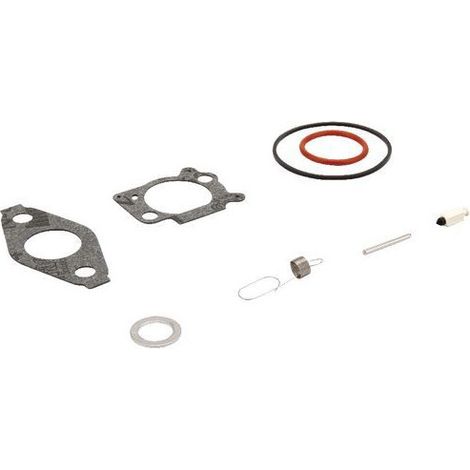 Kit de réparation Briggs et Stratton - 793622