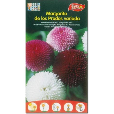SEMILLAS FITO FLORES MARGARITA DE LOS PRADOS VARIADA=00574