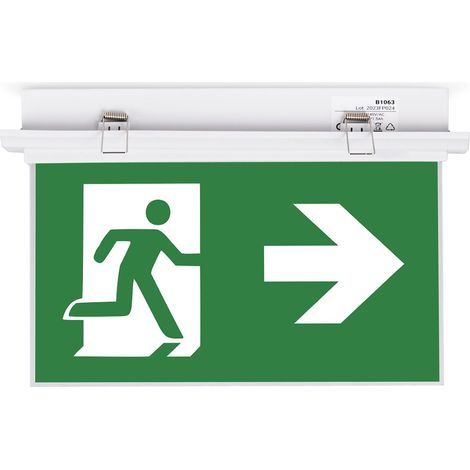 Bloc autonome d'éclairage de sécurité avec pictogramme "SORTIE (1/5)