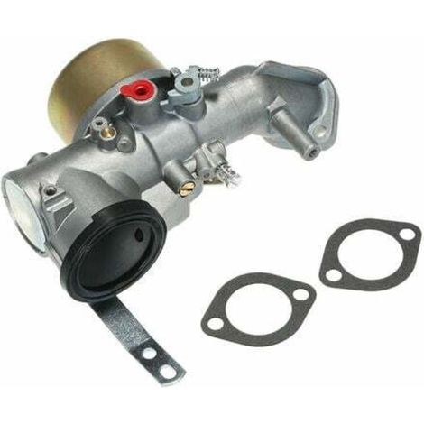 Kit de carburateur avec joint pour moteurs de débroussailleuse Briggs & Stratton 491026 281707 491031 12 hp. (1/5)