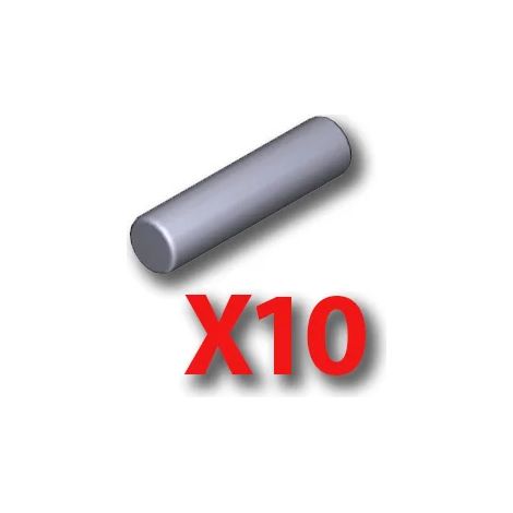Conditionnement 10 fusibles rapides de 5A 5x20 CAME 119RIR163 (1/3)