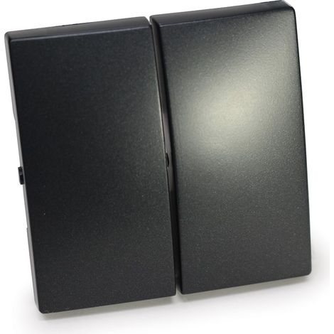 Tecla interruptor y conmutador doble serie Atmoss Dynamic S30 color antracita