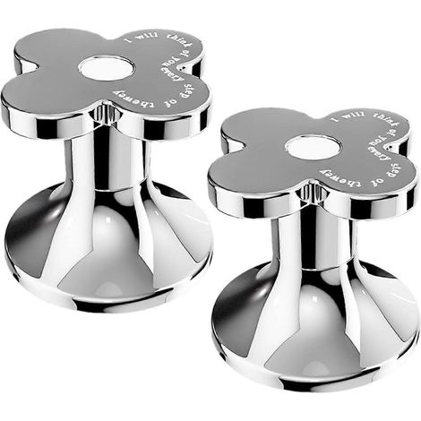Lot de 2 boutons de chasse d'eau de rechange en forme de fleur (1/5)