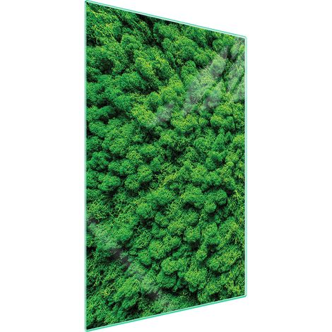 TAGLIERE IN VETRO 35x52 Colore (1/5)