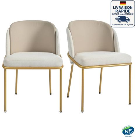 Conjunto de 2 sillas - Sistema de color Morandi de baja saturación - Escandinavo - Diseño ergonómico - Beige