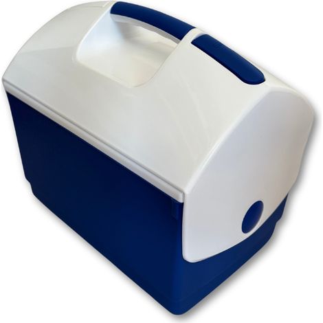 Nevera portátil, caja refrigeradora de 10 litros (1/3)