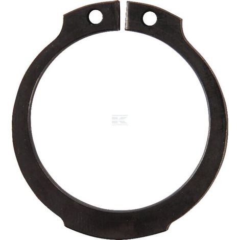 Anillo de retenci贸n CLAAS 0002381050