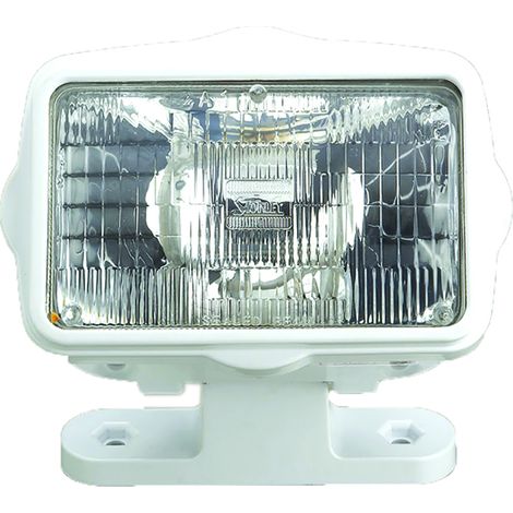 Proiettore esterno aaa abs light fascio diffuso 60W