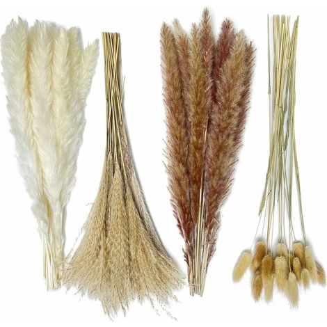 Dried Natural Pampas Grass 80Pcs，15Pcs White 15Pcs Brown 30Pcs Reed 20Pcs Rabbit Tail, Dried Flower Bouquet for Home, Wedding and Boho Style Decoration
