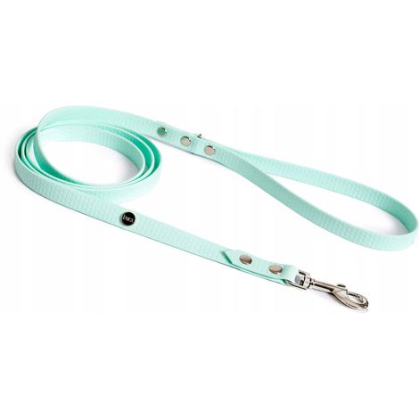 Guinzaglio per cani Hexa City, larghezza 10 mm, S, 1,8 m/mint (1/5)