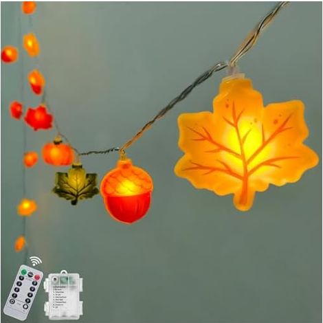 Guirlande lumineuse d'automne à piles de 3 m avec 20 LED en forme de citrouille, gland et feuille d'érable avec minuteur, lumière d'automne orange pour intérieur et extérieur, décoration d'automne (1/5)