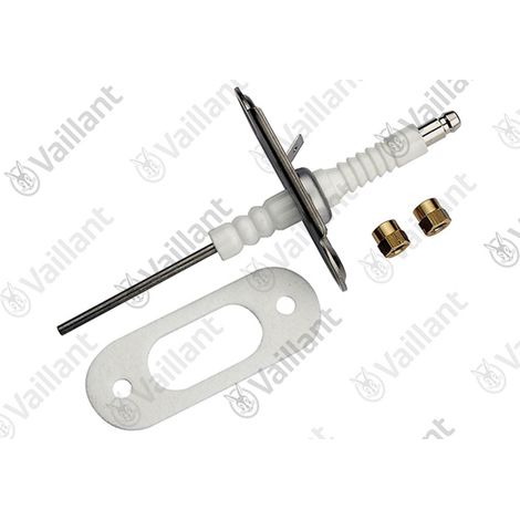 Electrodo de ionización