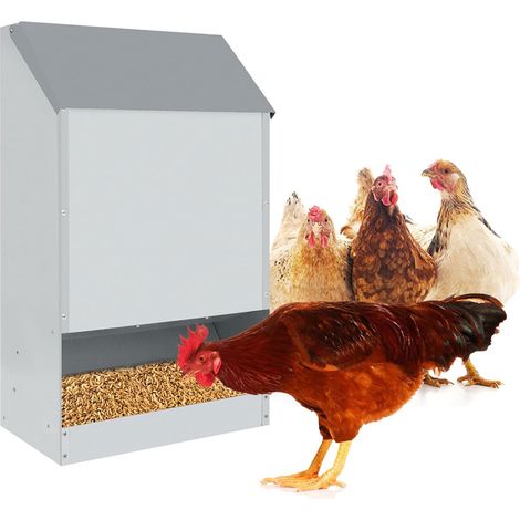 Mangiatoia per Galline 35x20x63 cm Capienza 23kg in Acciaio Zincato (1/5)