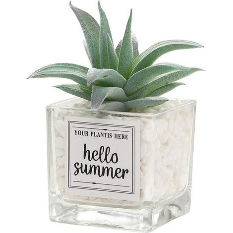 Mini bonsaï artificiel en verre souple, plante succulente en pot (ananas), décoration de bureau (1/4)