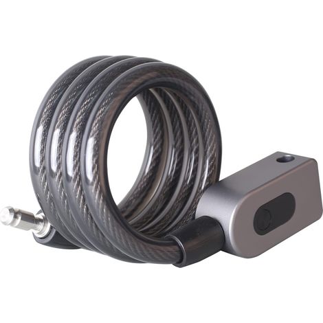 Câble antivol pour portefeuille, cadenas à combinaison BT (1/5)