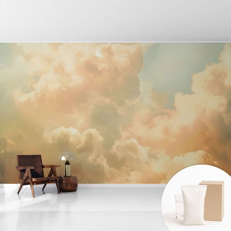 Papier peint intissé mural installation rapide du papier peint durable et résistante - Colle incluse gratuite Nuages éthérés 416x254 cm (1/5)