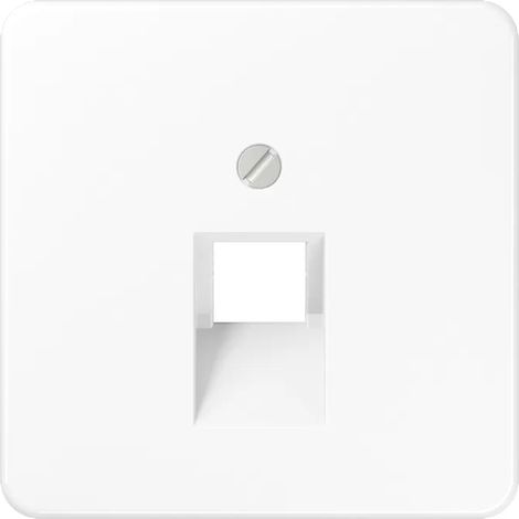 Jung Abdeckung aws für IAE/UAE-Dose CD 569-1 UA WW (1/2)