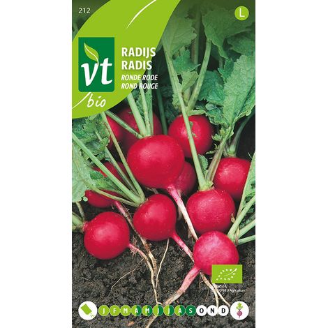 Bio Radis Rond Rouge - Ca. 6 gr (Livraison Gratuite) (1/2)