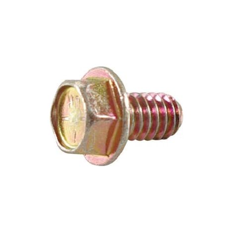 Vite BRIGGS ET STRATTON 692198