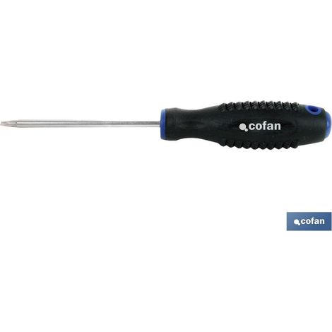 Destornillador Cr-Molibdeno Spanner 10x100 (1/2)