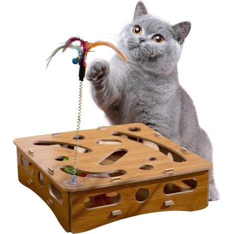 pour Chat Bote de Jouets pour Chat avec balles et Canne pche (1/5)